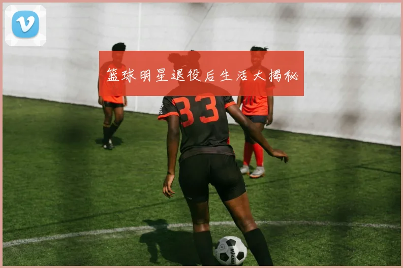 篮球明星退役后生活大揭秘