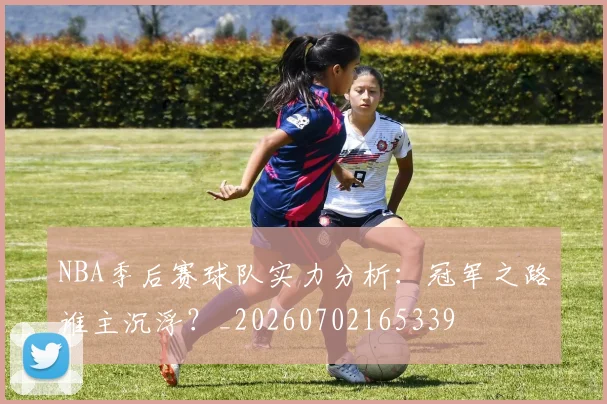 NBA季后赛球队实力分析：冠军之路谁主沉浮？_20260702165339