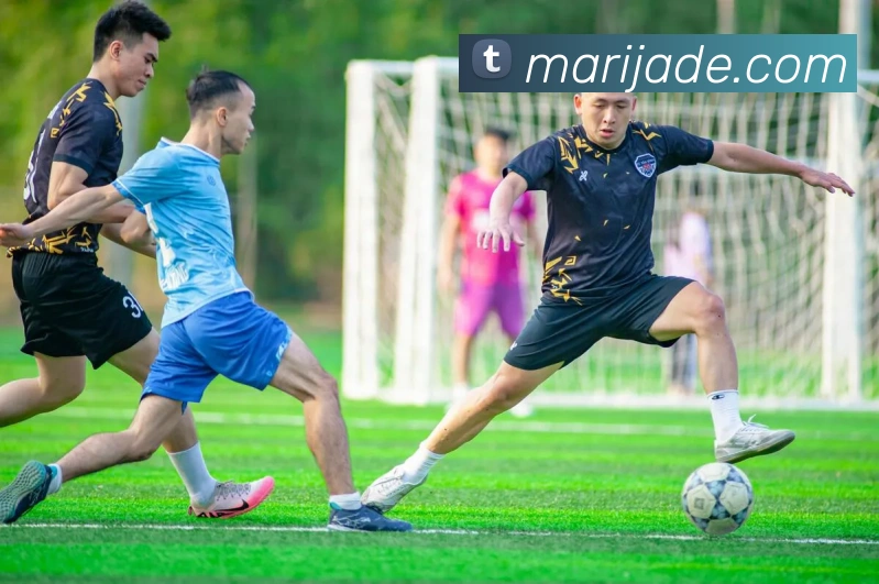 APP界面展示